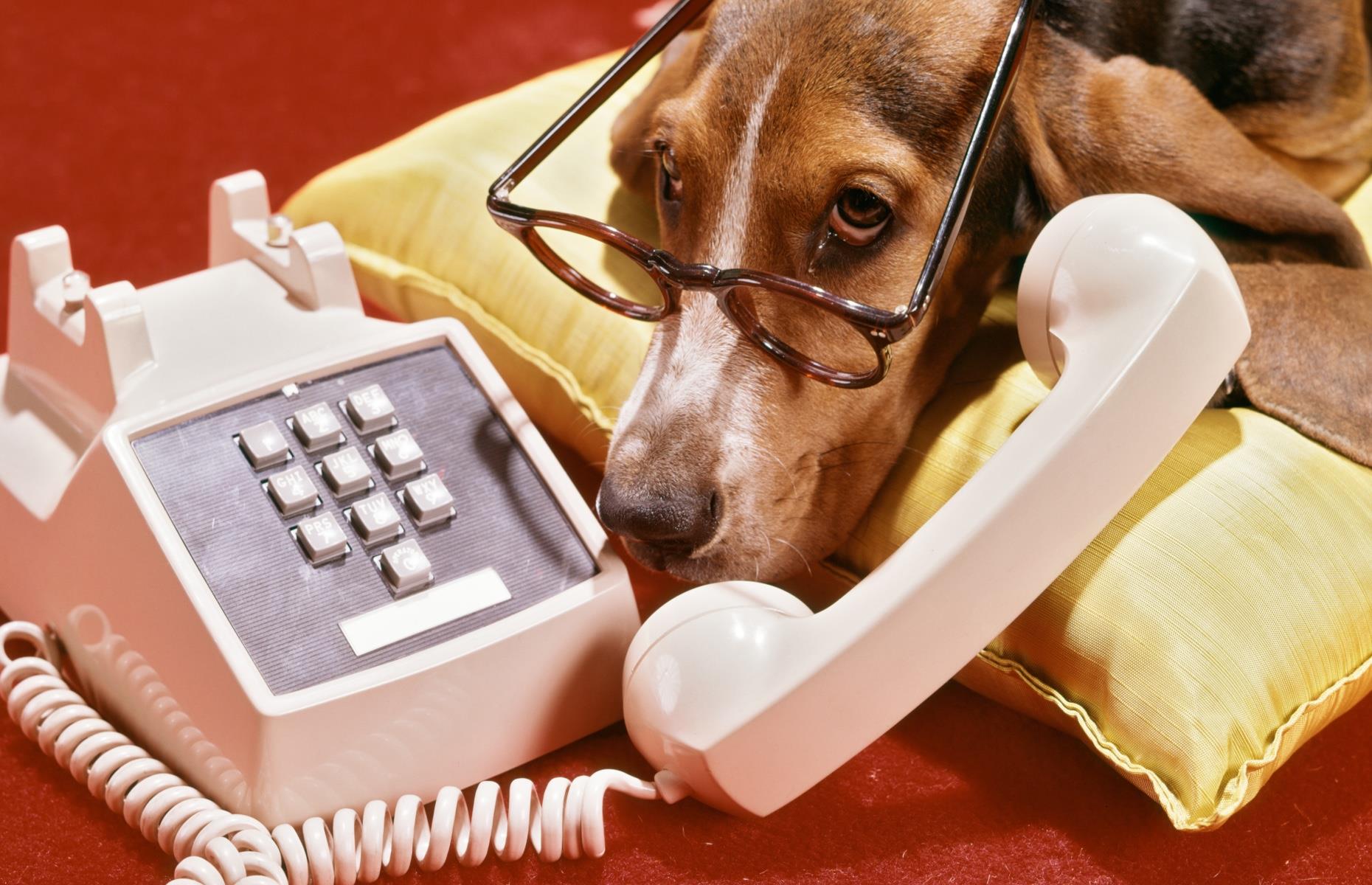 Push button phones